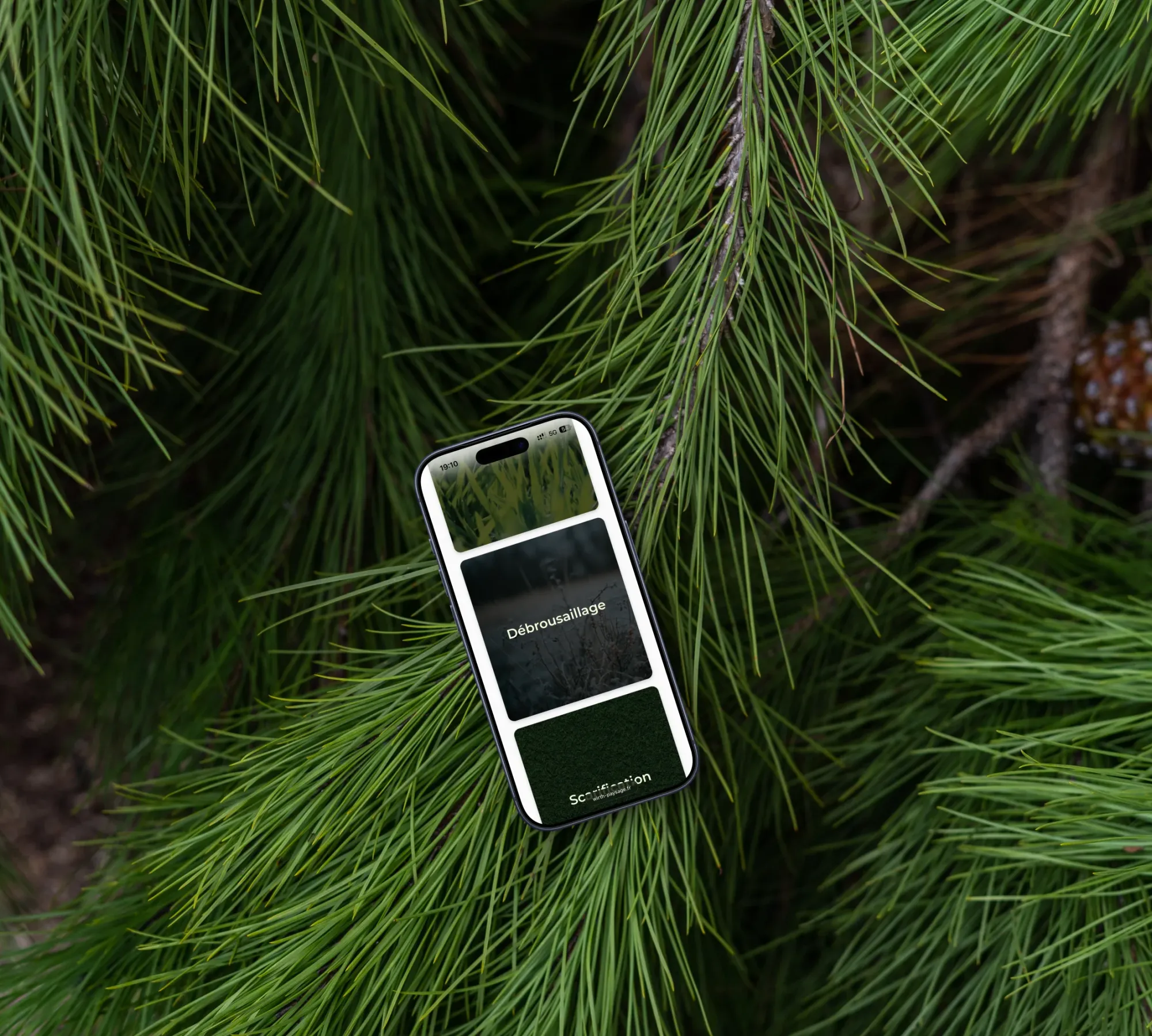 Présentation du projet réalisé pour Wirth Paysage Piscine