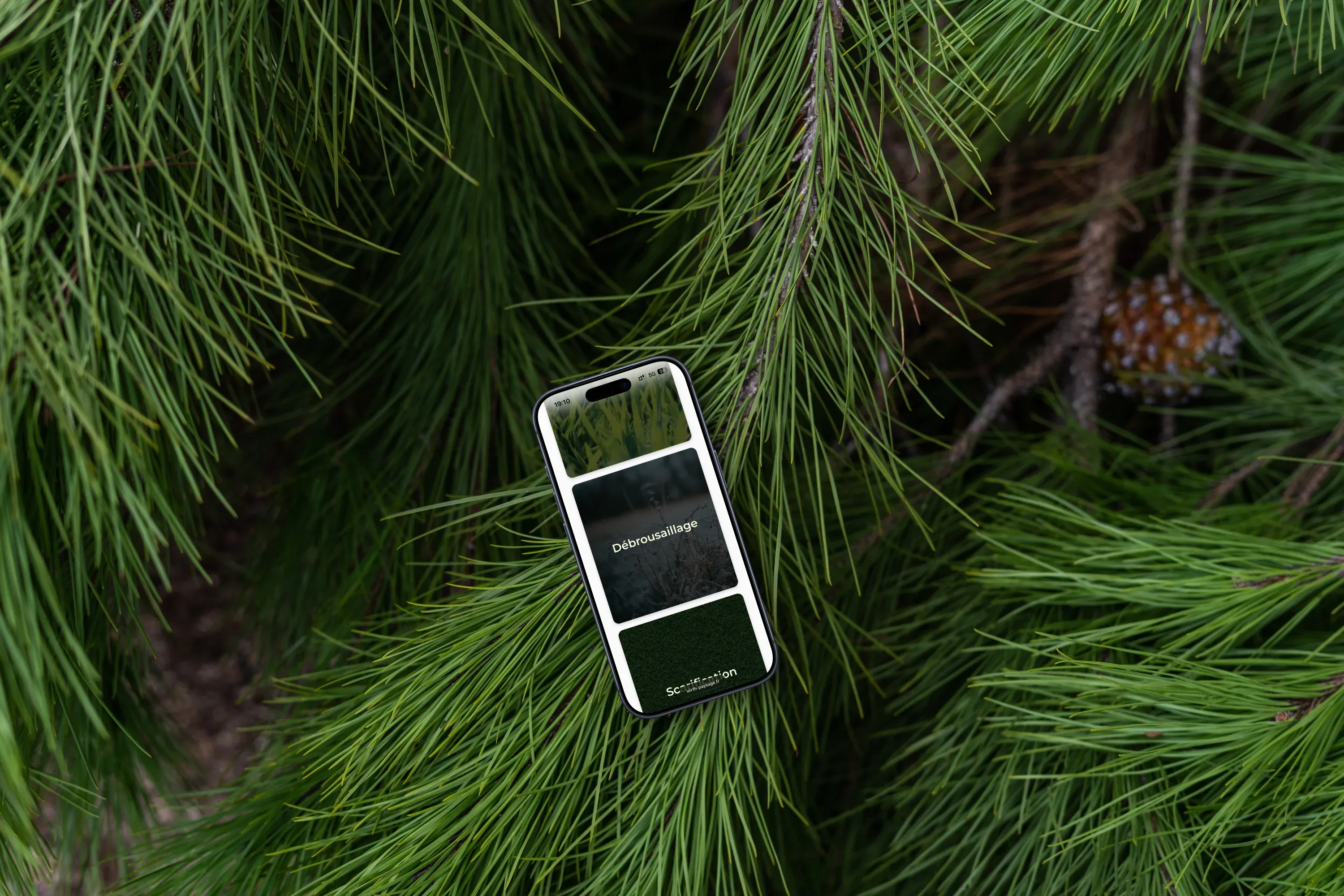 Image de couverture du projet réalisé pour Wirth Paysage Piscine