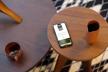 Troisième image de présentation du projet réalisé pour Wirth Paysage Piscine