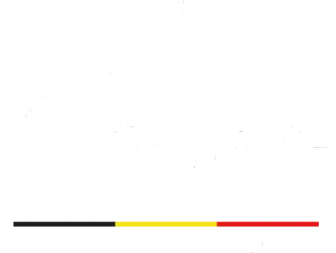 Logo Bruyerre